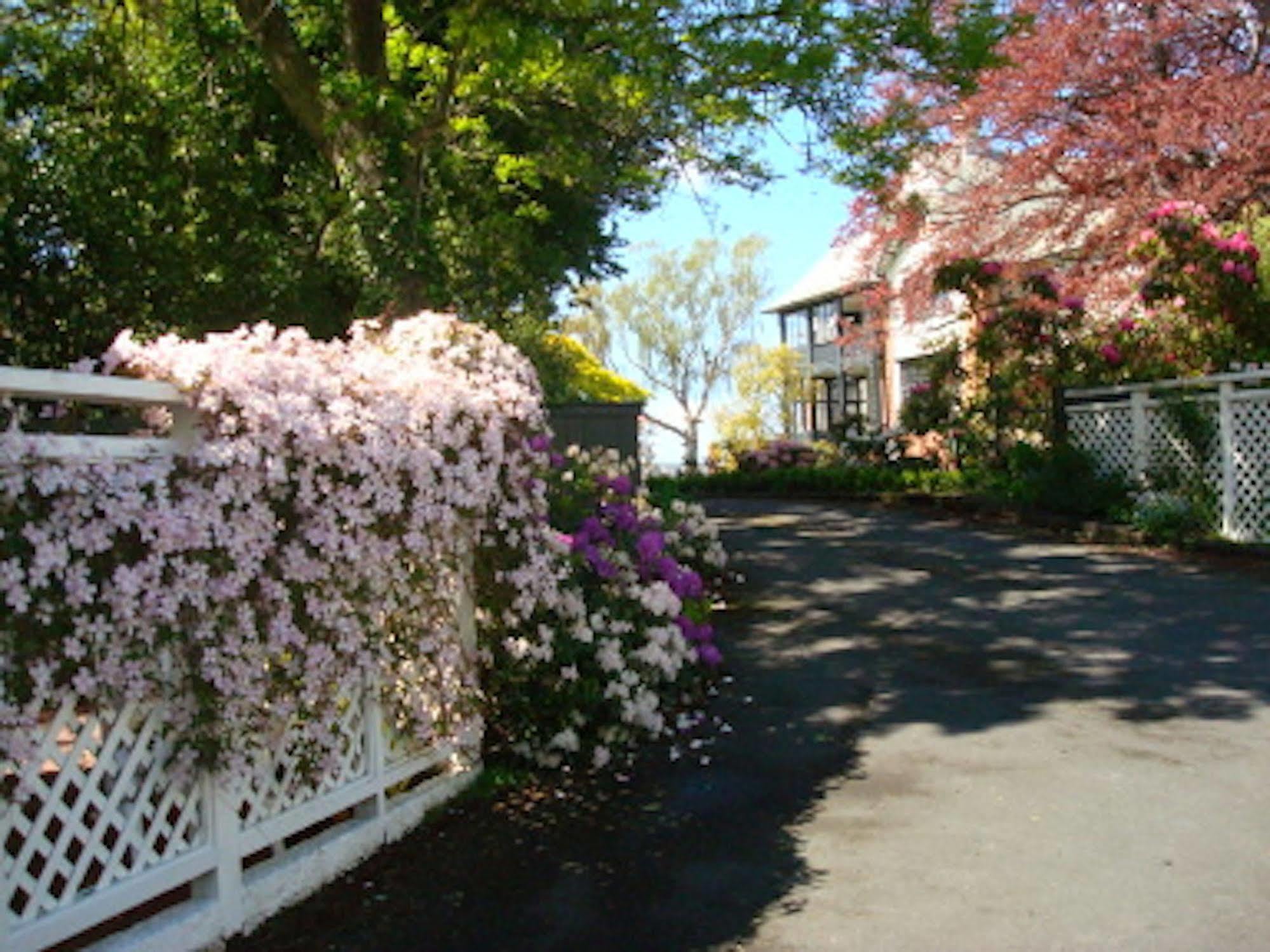 Heriot Lane City Apartments Dunedin Exterior foto